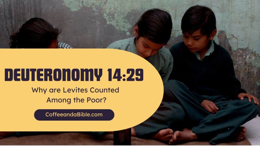 deuteronomy 14:29