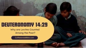 deuteronomy 14:29
