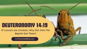 deuteronomy 14:19