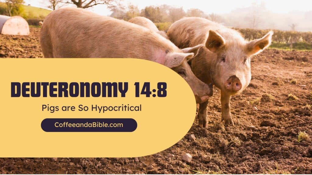 deuteronomy 14:8