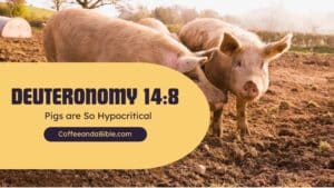 deuteronomy 14:8