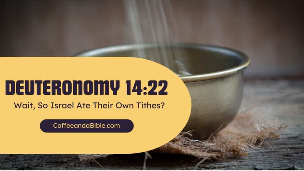 deuteronomy 14:22
