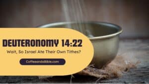deuteronomy 14:22