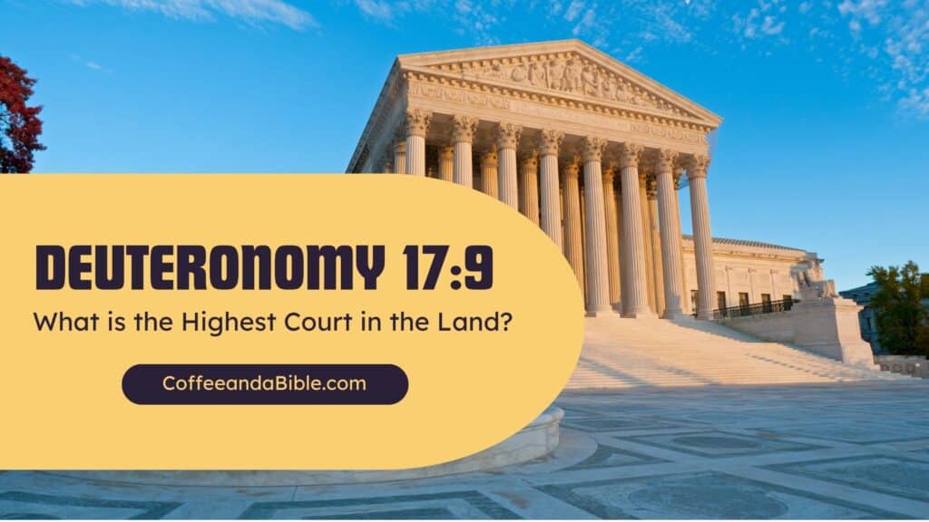 deuteronomy 17:9