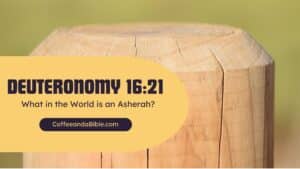 deuteronomy 16:21