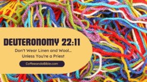 deuteronomy 22:11