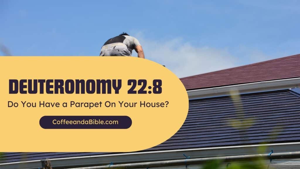 deuteronomy 22:8