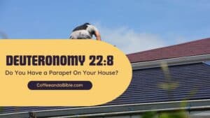 deuteronomy 22:8