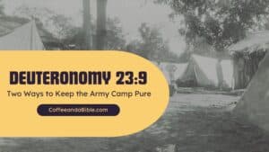 deuteronomy 23:9