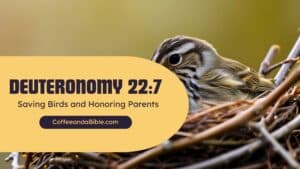 deuteronomy 22:7