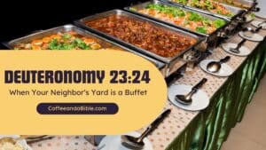 deuteronomy 23:24