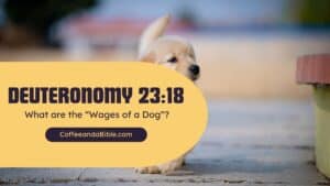 deuteronomy 23:18